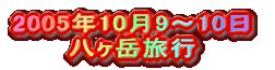 2005N109`10 xs